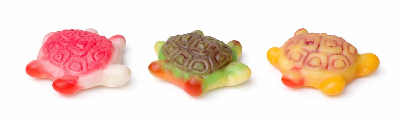 Jelly filled turtles