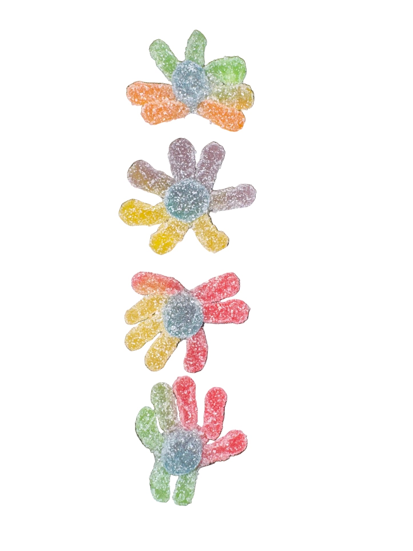 Sour octopus     Spain.    (Kosher) (parve)