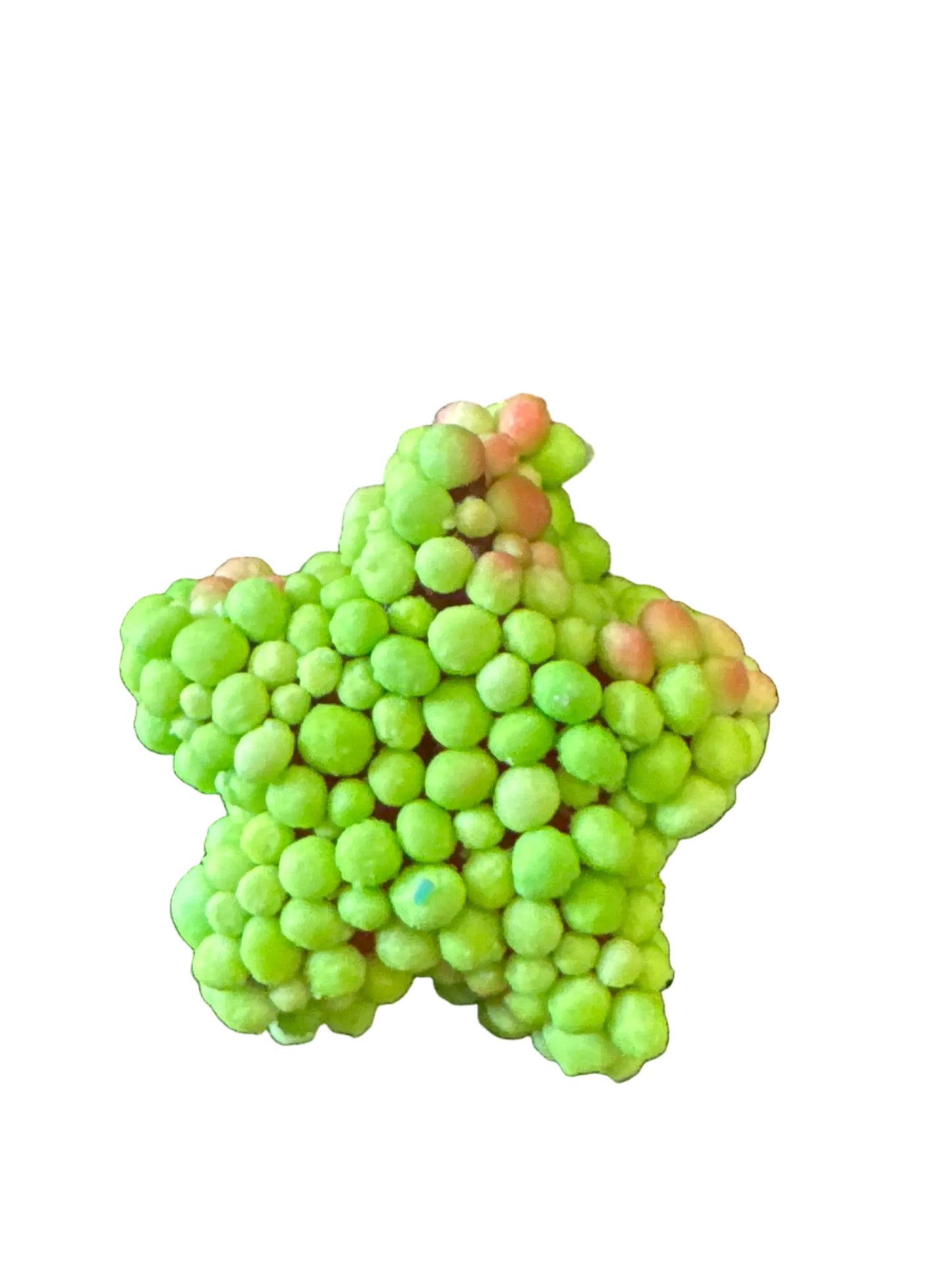 Green Apple cosmic star