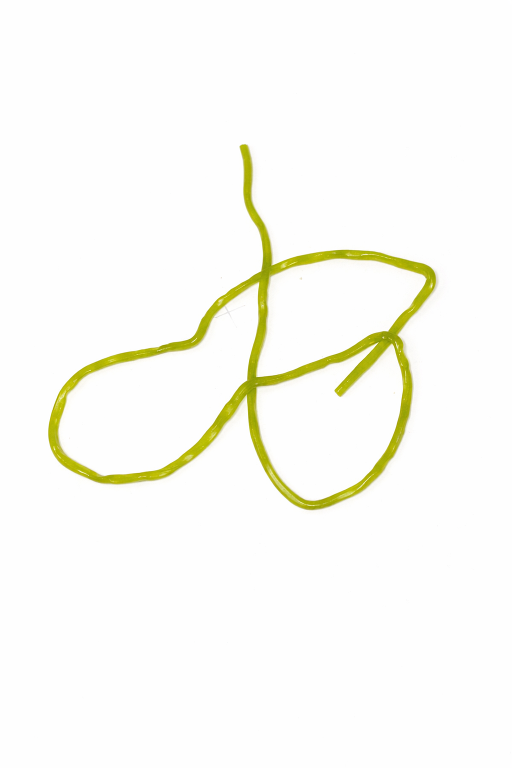 Pickle laces