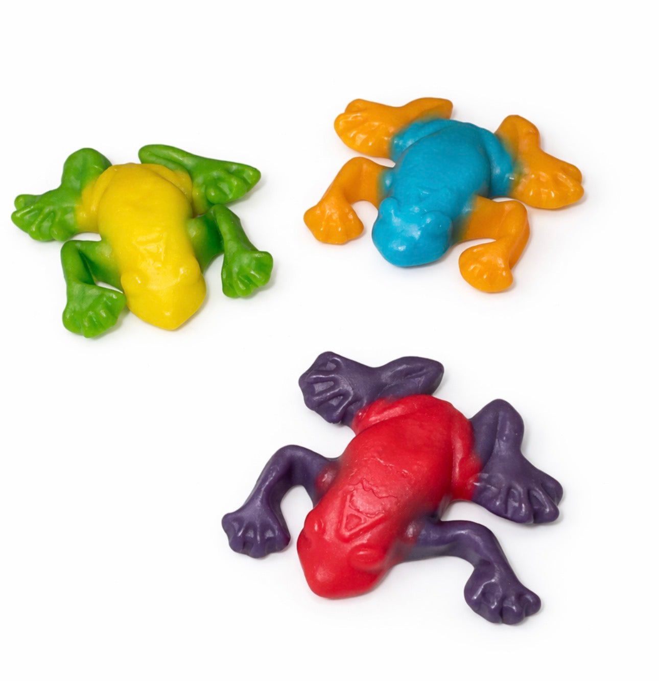 Rainforest frogs